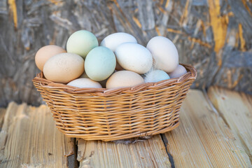 Village homemade chicken eggs, outdoors