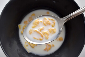 Cornflakes with milk on spoon.  Healthy breakfast concept. 