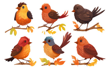 set vector illustraton of different birds isolated on white background
