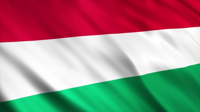 Hungary National Flag Animation

High Quality Waving Flag Animation

Loop able, Extend the duration as required