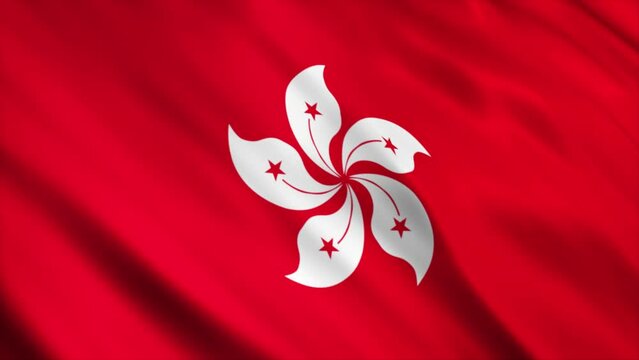 Hong Kong National Flag Animation

High Quality Waving Flag Animation

Loop able, Extend the duration as required