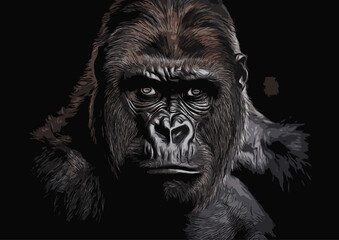 close-up illustration of a gorilla on a black background
