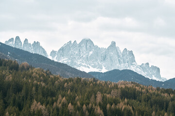 Coniferous Forest and Mountains Landscape Travel serene scenery summer green. Misty landscape with fir forest