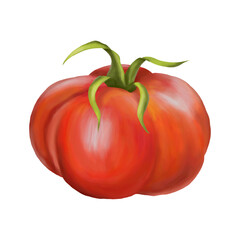 Red ripe fleshy tomato. Digital illustration on a white background. Applicable for packaging design, postcards, prints, textiles
