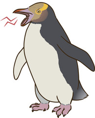 怒るキガシラペンギン
