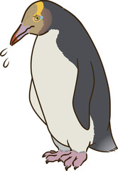 悲しむキガシラペンギン