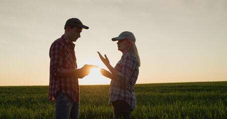 Farmers work in the wheat field. Use the tablet. New technologies in agriculture