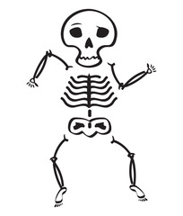 Funny Skeletons Vector, Elements and Symbol
