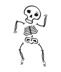 Funny Skeletons Vector, Elements and Symbol
