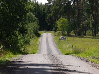 road in the forest