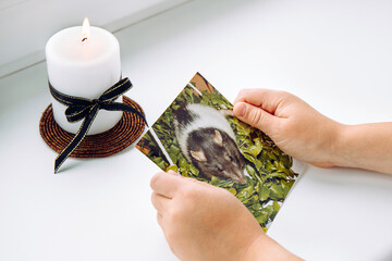 Child hands holding picture of deceased pet rat. Concept of child grieving pet. White candle with...