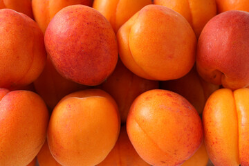 Composition with apricot, concept of tasty and fresh fruit