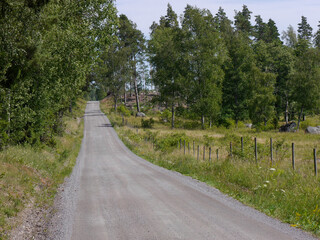 Fototapeta na wymiar an empty country road by trees and fields