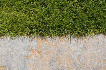 Side by side view directly above of limestone tile and yard, half and half