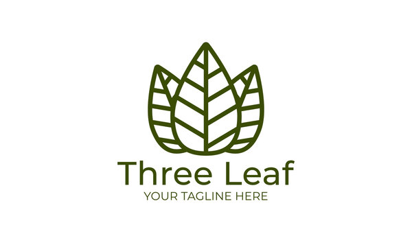 Nature three leaf outline logo vector design
