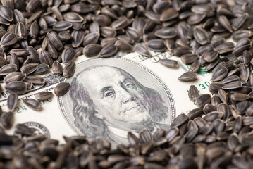 One hundred dollar banknote in sunflower grain. Agribusiness concept, price of sunflower