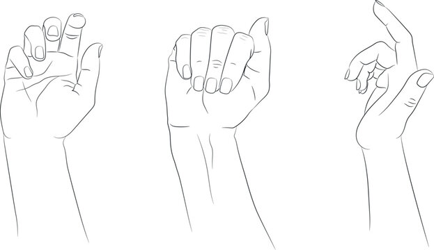 Hand drawn hands set. Hand drawn female hands empty contour isolated on white background. Vector illustration