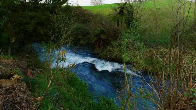 Wide shot of a rapid on a river at Blue Sping Putaruru, New Zealand.
