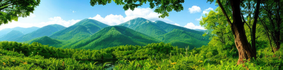 Panorama of the forest against the background of mountains and blue sky with clouds
