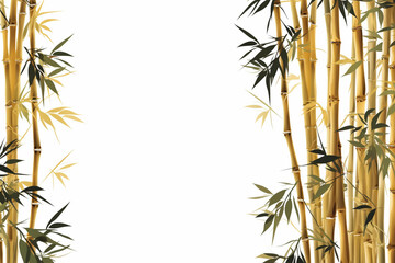 Bamboo tree on a white background