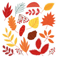 Obraz premium Trendy autumn foliage set. Vector different autumn leaves and berries set