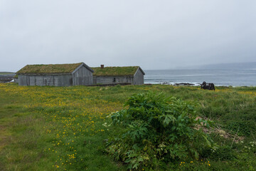 Obraz premium View from Hamningberg, Varanger, Norway