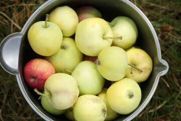 Sweet apples view from above