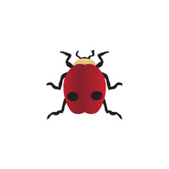 Ladybug, red ladybug crawling, transparent background PNG
