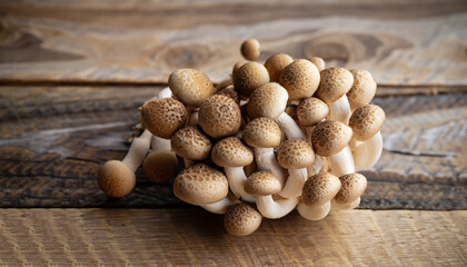 Brown shimeji mushrooms on wooden rustic table