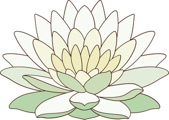 green water lily isolated, lotus flower, shape vector