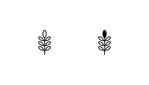 Acacia icon design with white background stock illustration