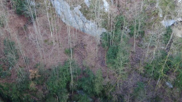 Blansko district, Czech Republic - February 25, 2023: Punkva Caves. Caves Moravian Karst. Rock, forest in the mountains