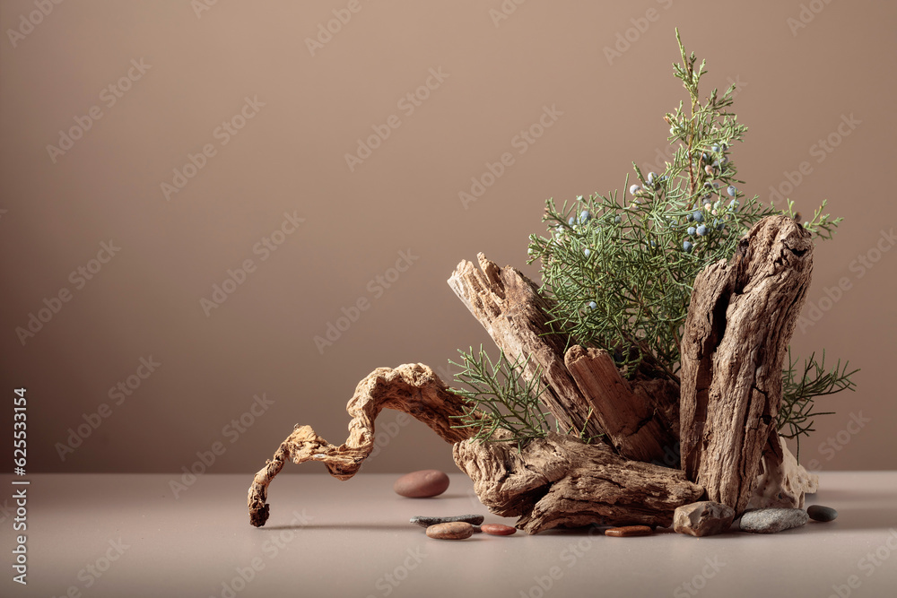 Wall mural Abstract nature scene with a composition of juniper and dry snags.