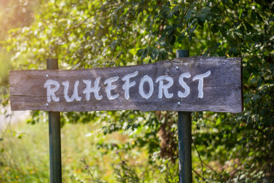 Schild mit der Aufschrift Ruheforst vor einem Friedwald
