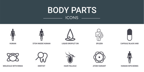 set of 10 outline web body parts icons such as human, stoh inside human body, liquid droplet on ground, spleen, capsule black and white variant, molecule with rings, dentist vector icons for report,