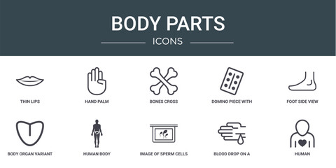 set of 10 outline web body parts icons such as thin lips, hand palm, bones cross, domino piece with six dots, foot side view, body organ variant with line, human body vector icons for report,