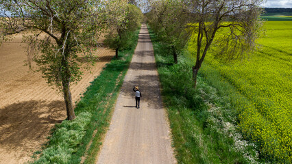 Fototapeta premium Caminando entre caminos