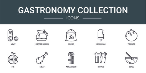 set of 10 outline web gastronomy collection icons such as meat, coffee maker, flour, ice cream, tomato, fig, meat vector icons for report, presentation, diagram, web design, mobile app