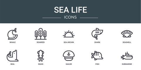 set of 10 outline web sea life icons such as whale, seaweed, sea urchin, shark, seashell, seal, squid vector icons for report, presentation, diagram, web design, mobile app