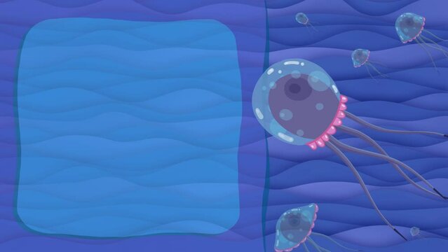 Cartoon character jellyfish swimming loop animation for titles. Squid good for fairy tales, illustration, etc... Cute intro frame included, seamless loop. 