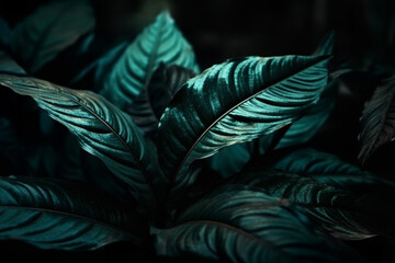 Tropical leaves of Monstera Deliciosa with dark background generative ai