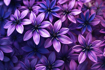 flowers background