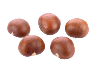 Sweet chestnut  transparent png