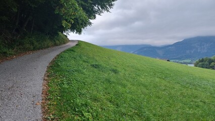 Road in the meadow