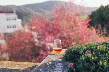 A glass of orange beverage - Moscatel de Setubal on a terrace with trees view, sunset, Portugal