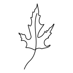 Obraz premium leaf foliage autumn line icon forest element