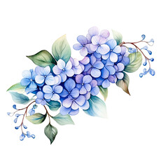 Water color beautiful hydrangeas flower bouquet garland png clip art