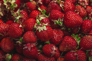 Strawberry background. Ripe fresh fruits, seasonal crop. Healthy superfood, vitamin