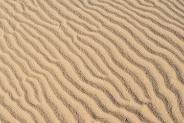 Aerial Serenity: Beautiful Beach Sand from Above