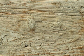 Background, texture of bleached old wood exposed to salt water, wind and sun
